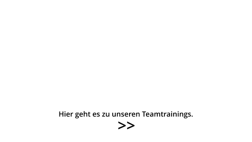 Hier geht es zu unseren Teamtrainings. >>