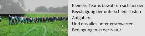 Kleinere Teams bewähren sich bei der  Bewältigung der unterschiedlichsten  Aufgaben.  Und das alles unter erschwerten  Bedingungen in der Natur …