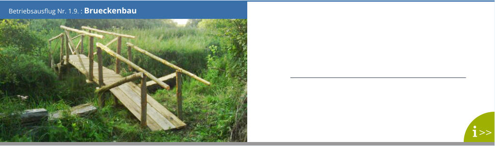 Betriebsausflug Nr. 1.9. : Brueckenbau >>