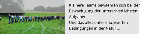 Kleinere Teams bewaehren sich bei der  Bewaeltigung der unterschiedlichsten  Aufgaben.  Und das alles unter erschwerten  Bedingungen in der Natur …
