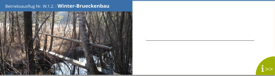 Betriebsausflug Nr. W.1.2. : Winter-Brueckenbau >>