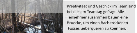Kreativitaet und Geschick im Team sind  bei diesem Teamtag gefragt. Alle  Teilnehmer zusammen bauen eine  Bruecke, um einen Bach trockenen  Fusses ueberqueren zu koennen.