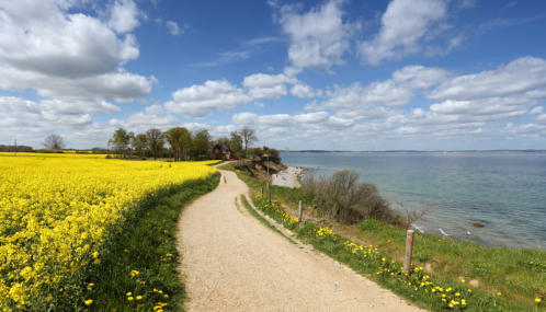 Ostseeblick von der Steilküste